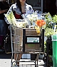 Filename=003.JPG
Filesize=87KB
Dimensions=600x947
Date added=Jun 21, 2010 003.JPG