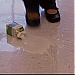 _569.JPG